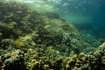 Fototapeta na wymiar Panorama Korallenriff