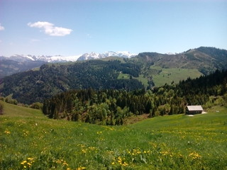 Fototapeta na wymiar Alp