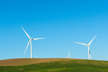 Fototapeta premium Wind turbines in the field to obtain wind energy. Renewable energy. Cadiz, Spain.