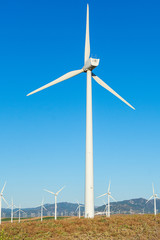 Wind turbine in the field to obtain wind energy. Renewable energy. Cadiz, Spain.