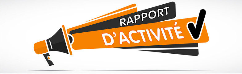 Mégaphone : rapport d'activité
