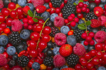 various berries background