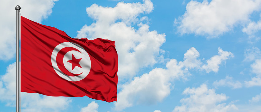 Tunisian flag images libres de droit, photos de Tunisian flag