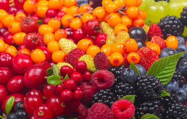 different berries background
