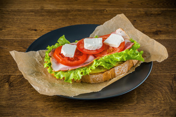 Delicious sandwich and lager beer on wooden table with dark background.