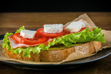 Delicious sandwich and lager beer on wooden table with dark background.