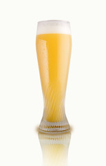 glass of beer on a white background. drink