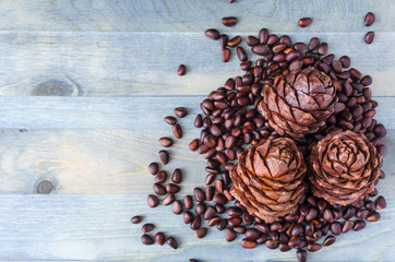 Obraz na płótnie Canvas nuts and pine cones on natural background