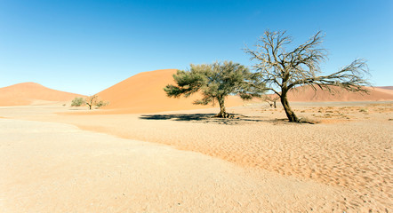 Naklejka na ściany i meble Beautiful red dune in the desert