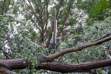 Severe storm damage to residential neighborhood tree.