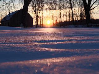 The sun is reflected on the frosty snow.