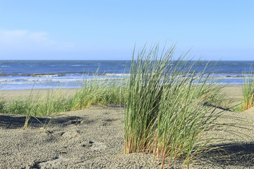Fototapeta na wymiar Strand und Nordsee bei Ouddorp