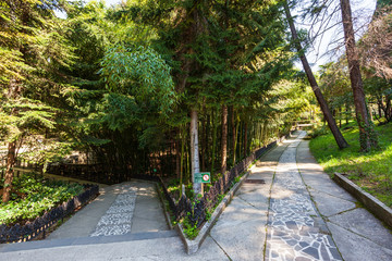 Dendrariy Park, Sochi