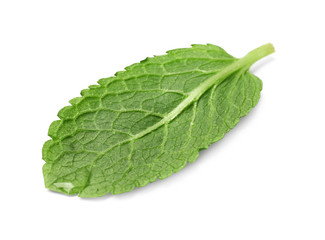 Wet leaf of fresh mint isolated on white