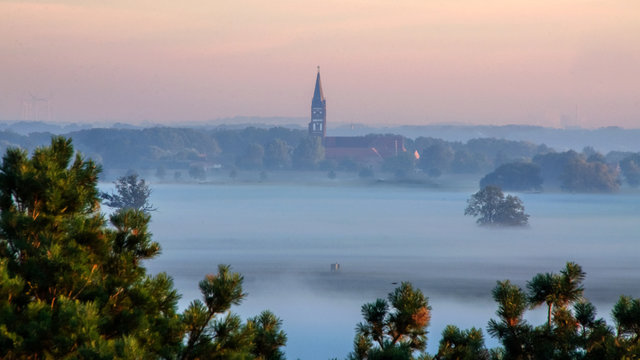 Die Elbauen vor Kloster Jerichow im Morgennebel