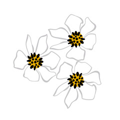 camomile flowers card vector floral design element primitive scandinavian