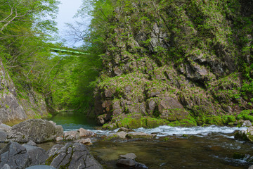 宮城県仙台市 秋保大滝 Akiu otaki waterfall in Miyagi Japan