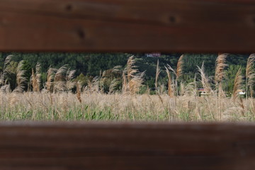 Finestra sulla natura