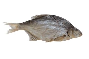 bream isolated