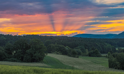 Fototapeta na wymiar beautiful sunset over the green valley 