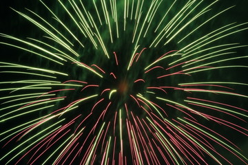 fireworks in the sky