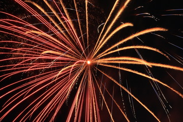 Obraz premium fireworks in the sky