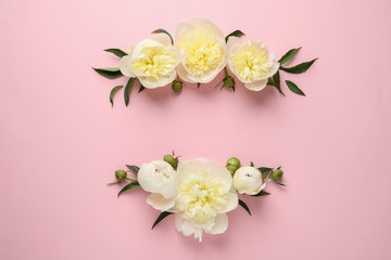 Fragrant peonies on color background,flat lay with space for text. Beautiful spring flowers