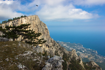  view of the city and the sea from the mountain
