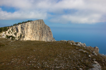 white cliffs