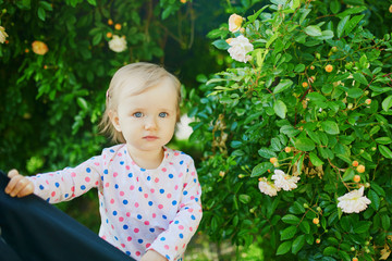 Adorable little girl outdoors in park on a sunny day