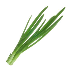 leaves of onion isolated on white background