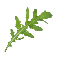 leaf of arugula isolated on white  background