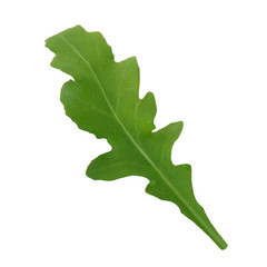 leaf of arugula isolated on white  background
