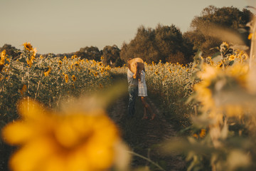 Beautiful couple in love is kissing on sunset over a field of sunflowers. Girl in a hat and white summer dress, a man in jeans and a tshirt. Summer vacation concept, recreation in the countryside