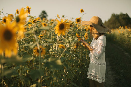Portrait of young woman in white dress and hat holding a sunflower in a sunset field. Summer vacation concept, recreation in the countryside, nature beauty, gardening.