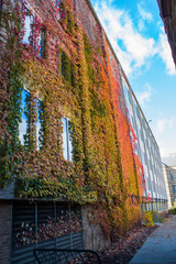 cleveland in the fall