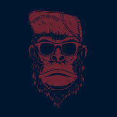 Illustration of monkey in baseball cap and sunglasses. Design element for poster, t shirt, emblem, sign, label. Vector illustration