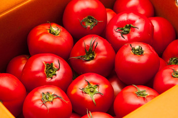  Fresh tomatoes in a box