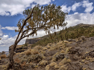 Beautiful mountain range in Simien Mountains National Park in Ethiopia