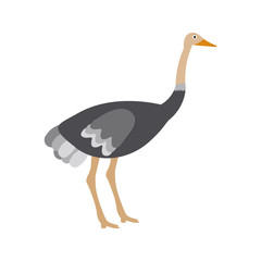 Ostrich icon in flat style, african animal vector illustration