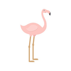 Flamingo icon in flat style, african animal vector illustration
