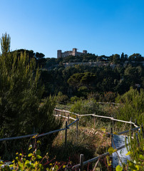 A passage way into the trees, leading to a palace