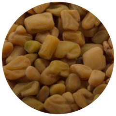 fresh yellow fenugreek background
