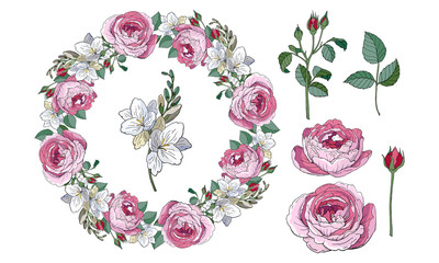 Stock vector floral set of pink roses and white freesias, beautiful wreath. Isolated and hand drawn illustration. Floral design, floral background. Festive hand drawn pattern.