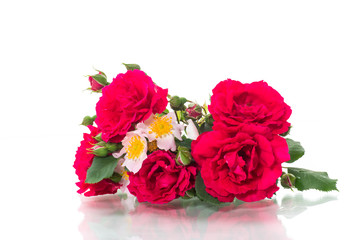 bouquet of beautiful red roses on a white