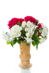 bouquet of beautiful red and white roses on a white