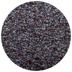 seeds of poppy background