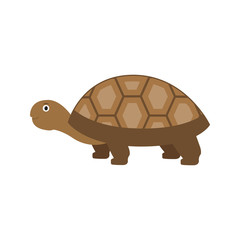 Spurred Tortoise icon in flat style, african animal vector illustration