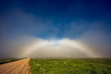 Rare White Rainbow Fogbow near the path