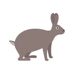 Hare icon in flat style, african animal vector illustration